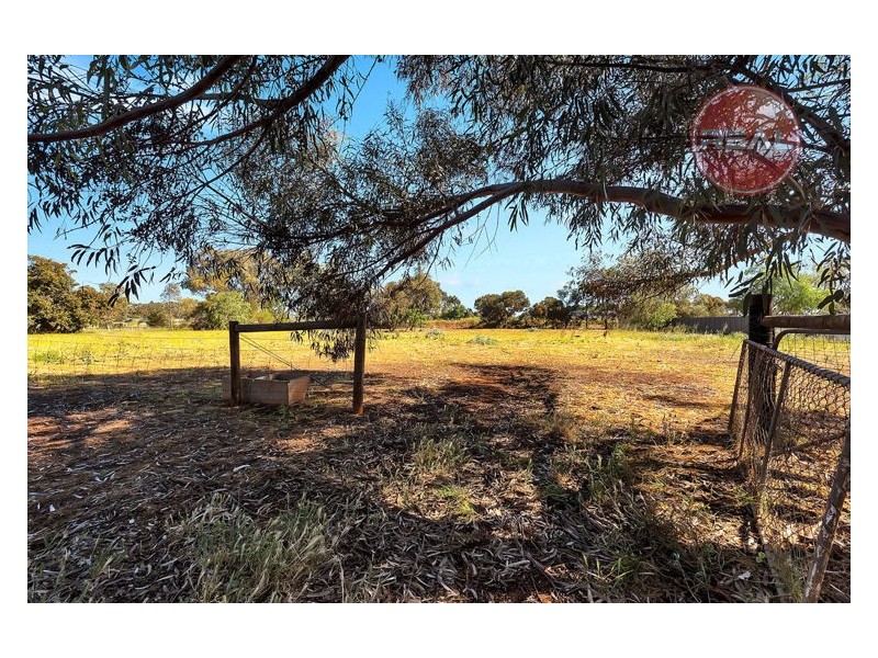 51 Ormsby Road, Kudla SA 5115