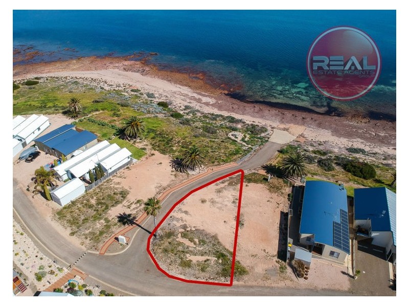 24 Osprey Boulevard, North Beach SA 5556