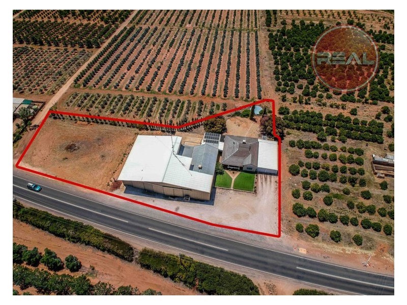 244 Ramco Road, Waikerie SA 5330