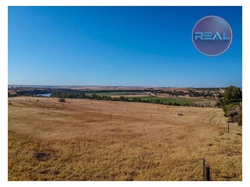 121 Zadow Road, Caloote SA 5254