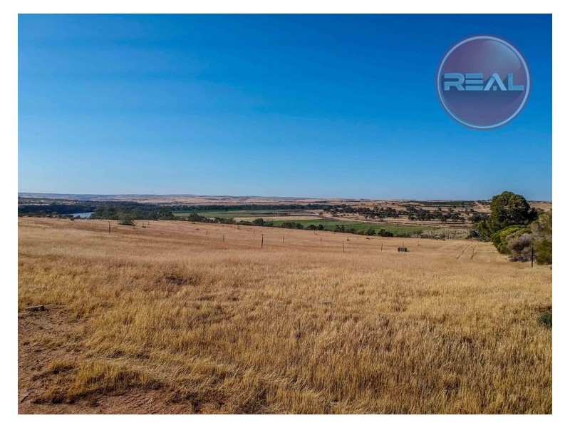 121 Zadow Road, Caloote SA 5254