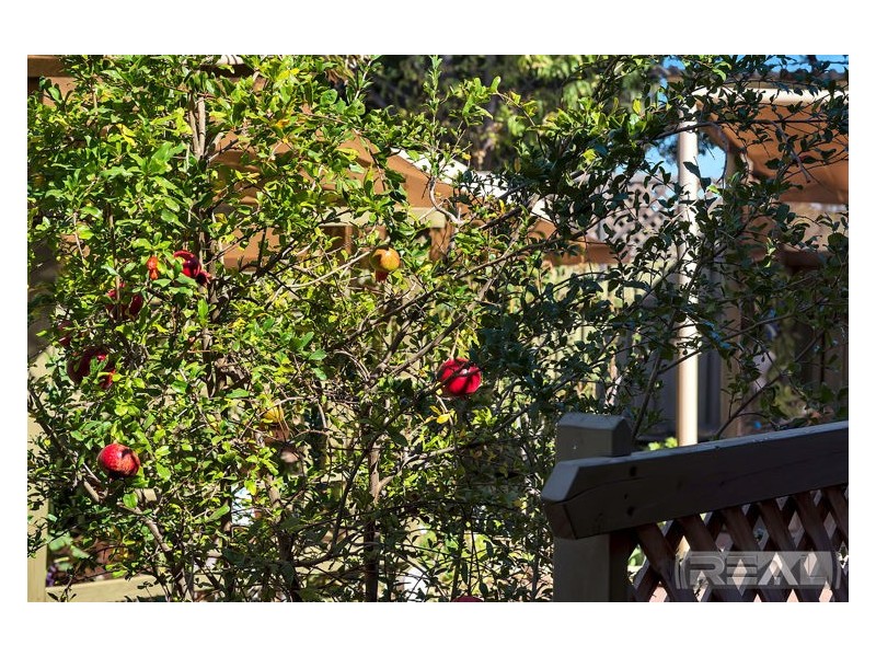 2 Woodcroft Drive, Blakeview SA 5114