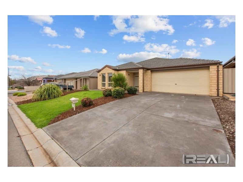 31 Mitchell Drive, Evanston Park SA 5116