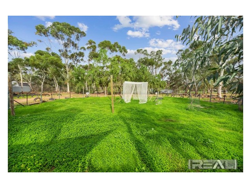 2 Erina Court, Lewiston SA 5501