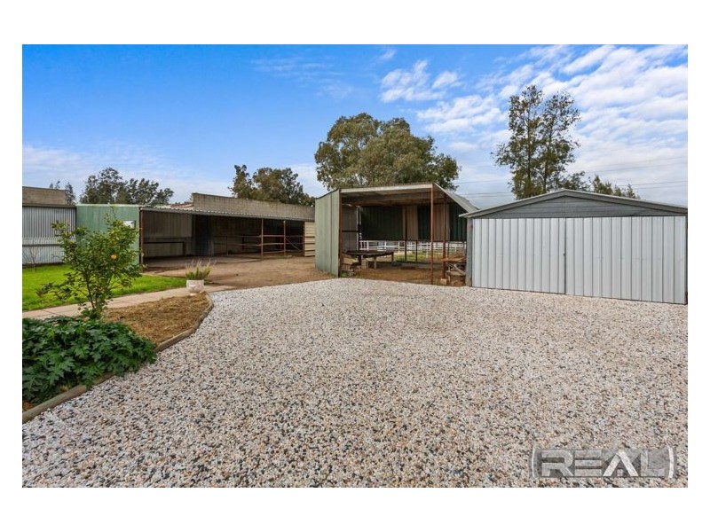 19 Alabar Crescent, Globe Derby Park SA 5110