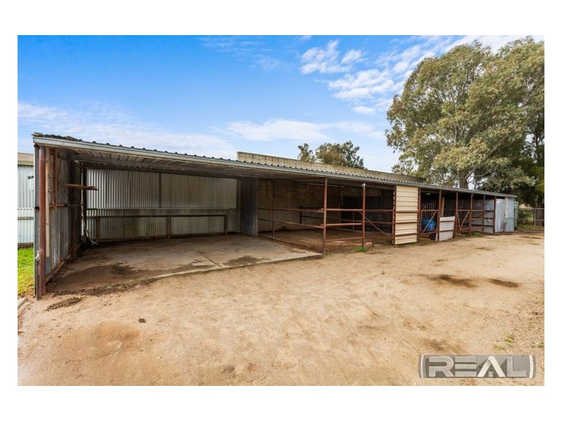 19 Alabar Crescent, Globe Derby Park SA 5110