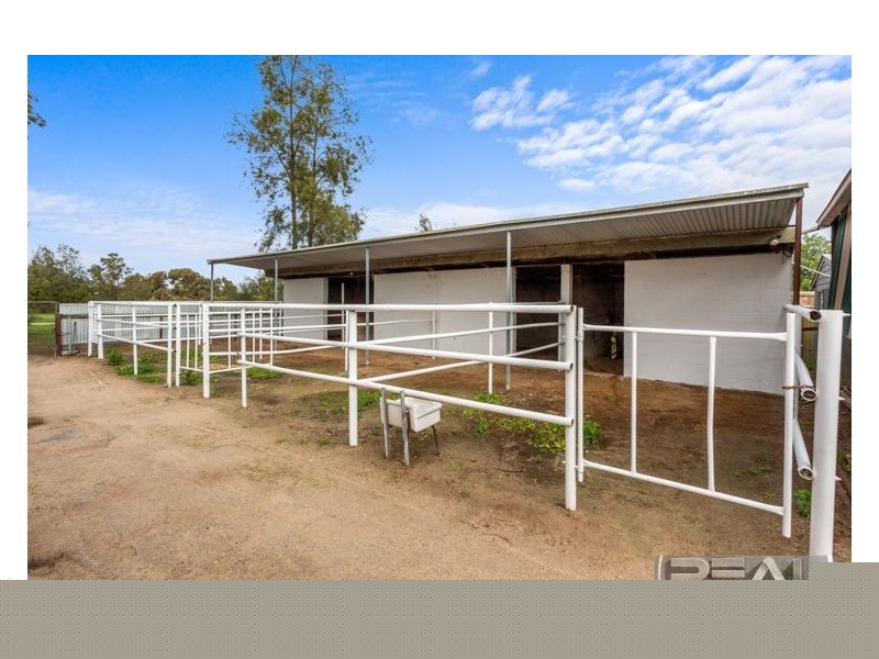 19 Alabar Crescent, Globe Derby Park SA 5110