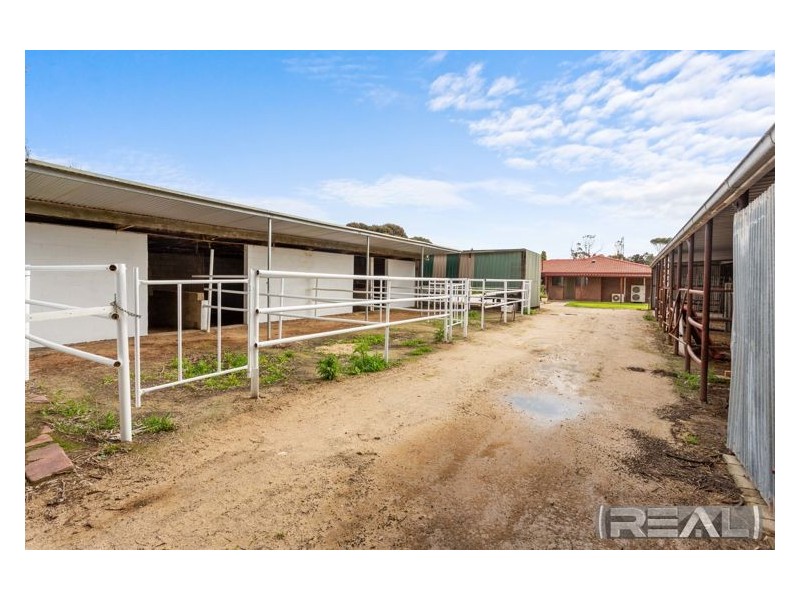 19 Alabar Crescent, Globe Derby Park SA 5110