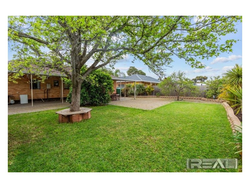 24 Norfolk Avenue, Brahma Lodge SA 5109