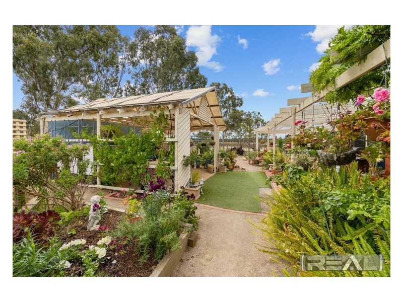 12 Casuarina Walk, Murray Bridge SA 5253