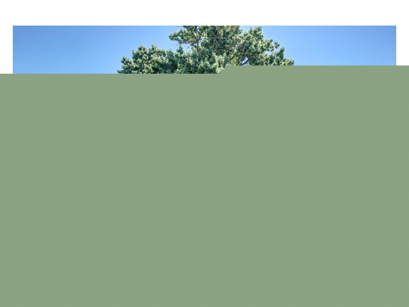 56 Morley Road, Seaton SA 5023