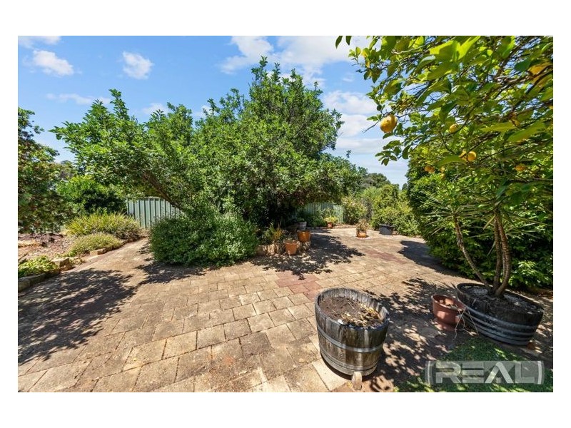 12 Beaminster Road, Elizabeth Park SA 5113