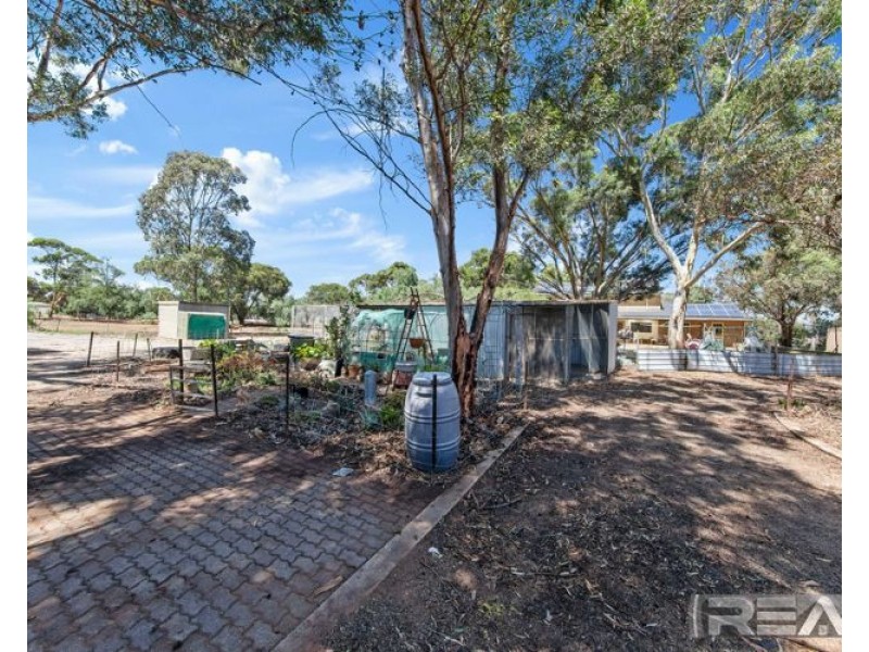 595 Paddys Bridge Road, Redbanks SA 5502