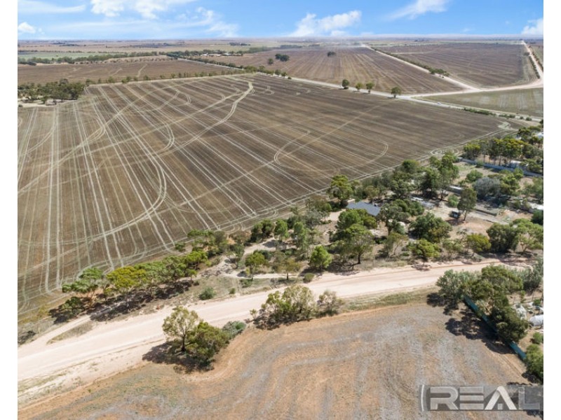 595 Paddys Bridge Road, Redbanks SA 5502