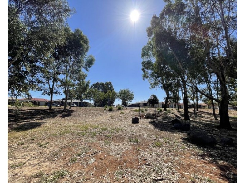 1 Albert Court, Andrews Farm SA 5114