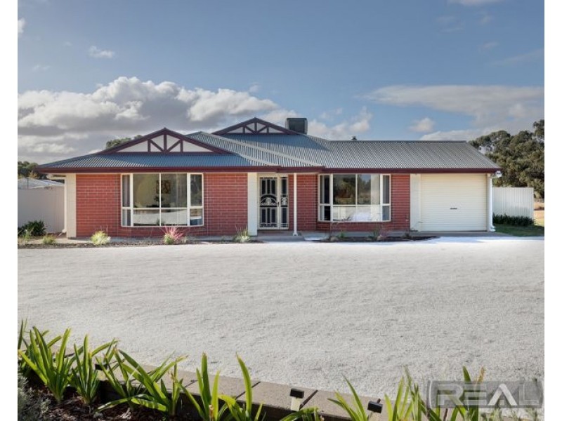 11 Palomino Court, Roseworthy SA 5371