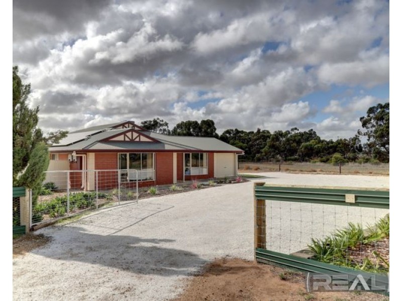 11 Palomino Court, Roseworthy SA 5371