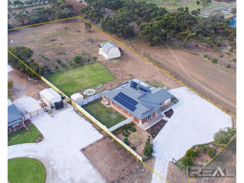 11 Palomino Court, Roseworthy SA 5371