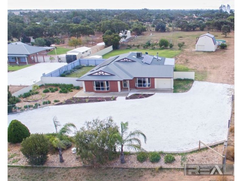 11 Palomino Court, Roseworthy SA 5371