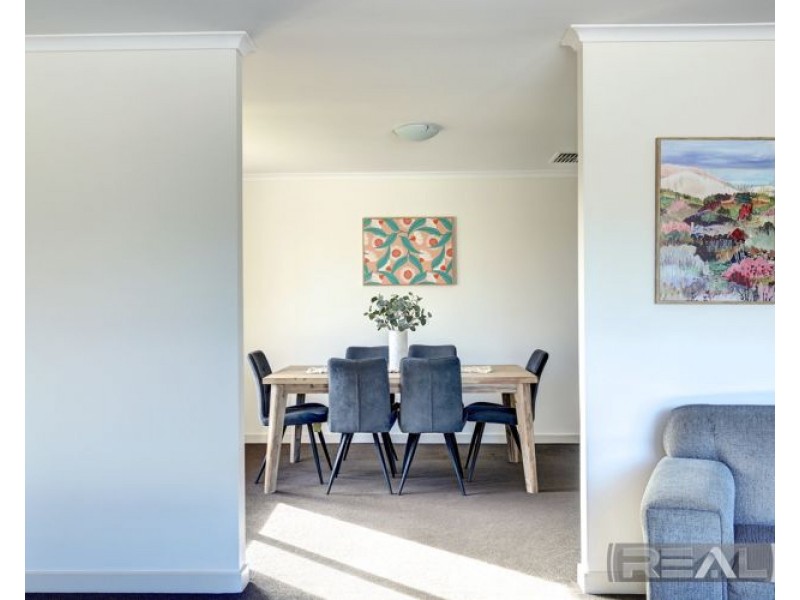 11 Palomino Court, Roseworthy SA 5371