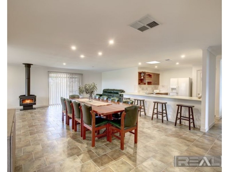 11 Palomino Court, Roseworthy SA 5371