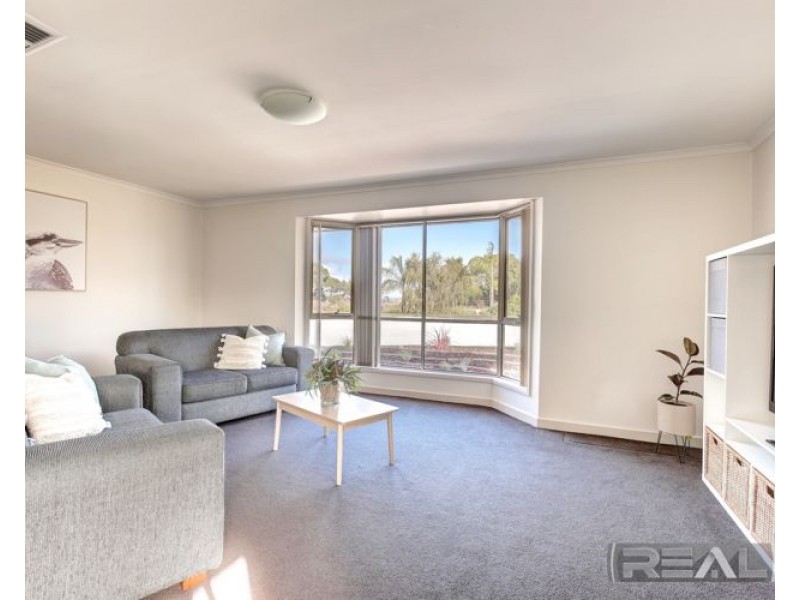 11 Palomino Court, Roseworthy SA 5371