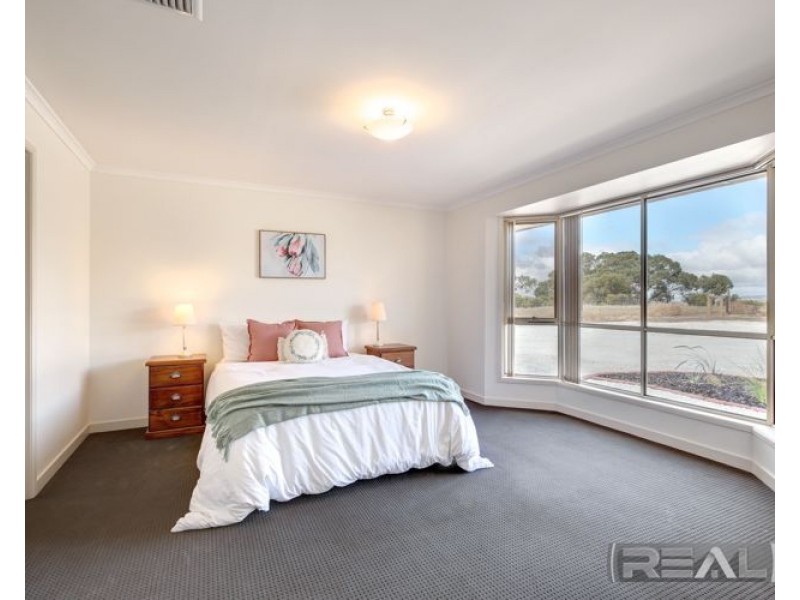 11 Palomino Court, Roseworthy SA 5371