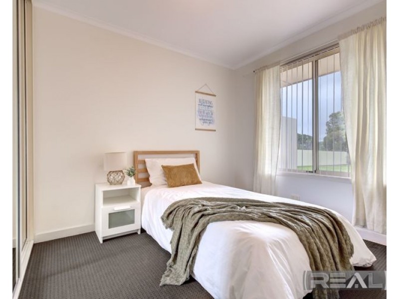 11 Palomino Court, Roseworthy SA 5371