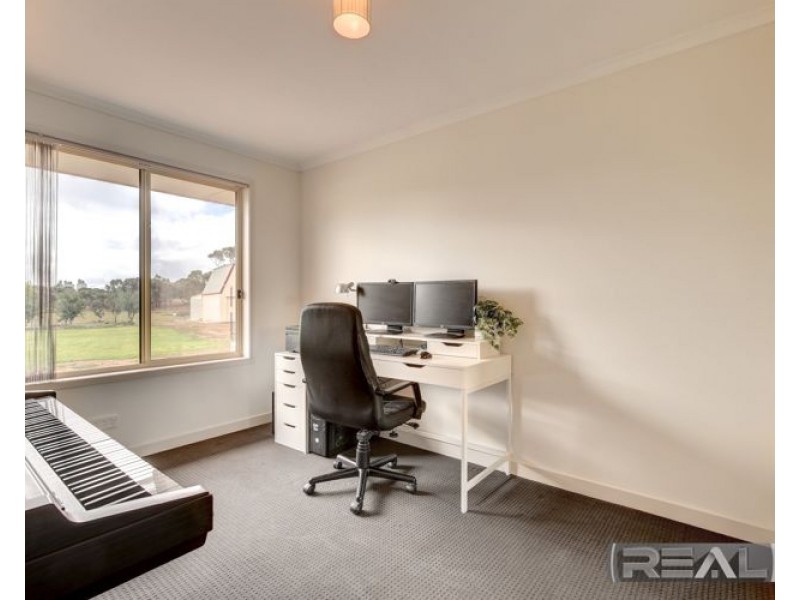 11 Palomino Court, Roseworthy SA 5371