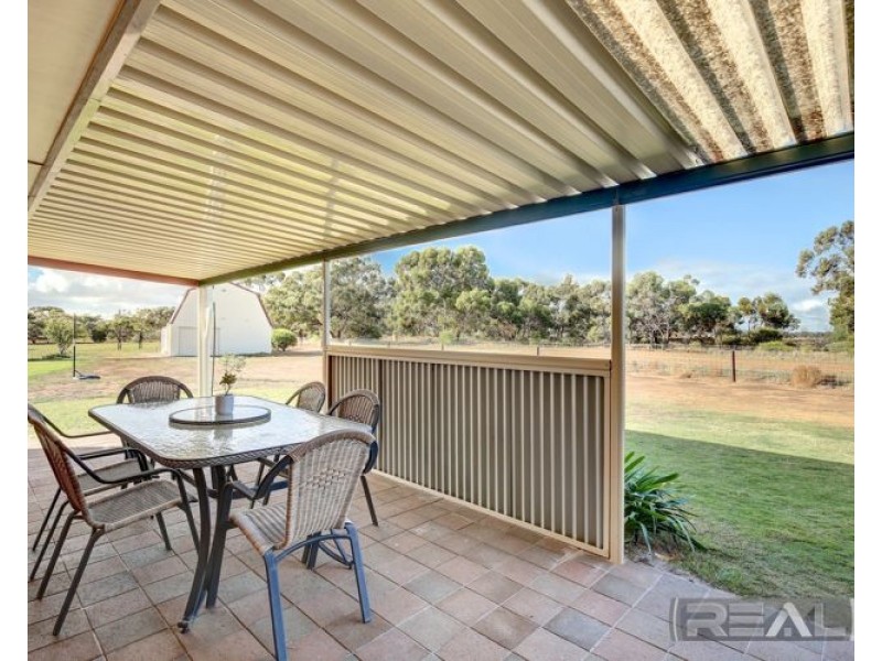 11 Palomino Court, Roseworthy SA 5371