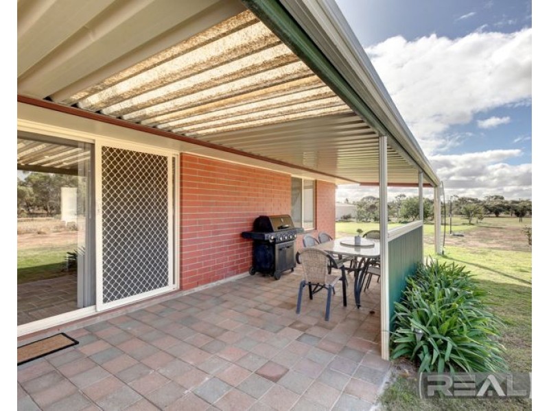 11 Palomino Court, Roseworthy SA 5371