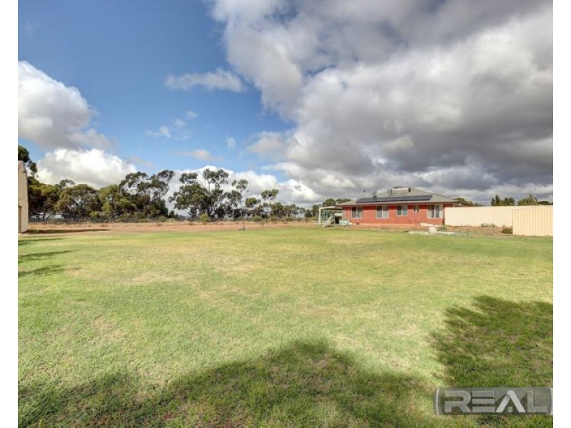 11 Palomino Court, Roseworthy SA 5371