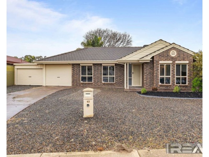 43 Greenfields Drive, Andrews Farm SA 5114