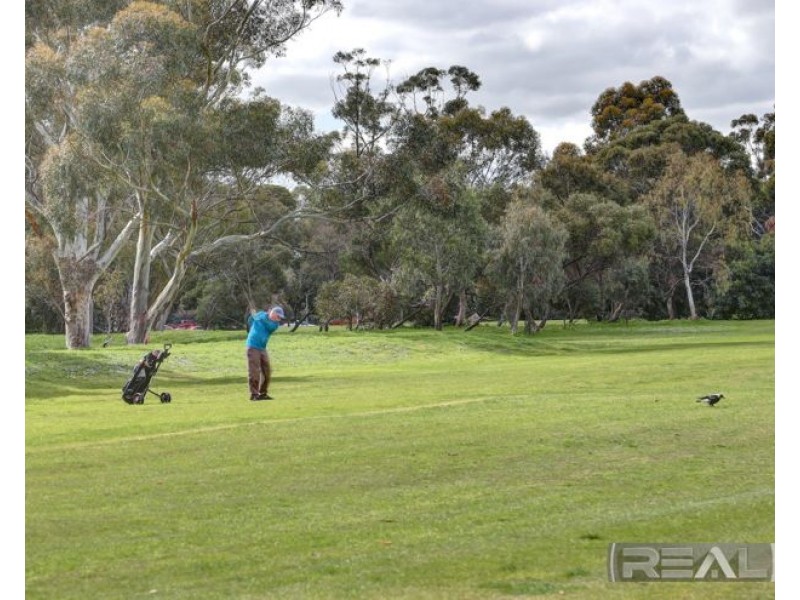 2/174 Barton Terrace West, North Adelaide SA 5006