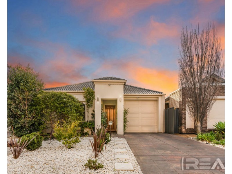 26 Martinique Walk, Mawson Lakes SA 5095