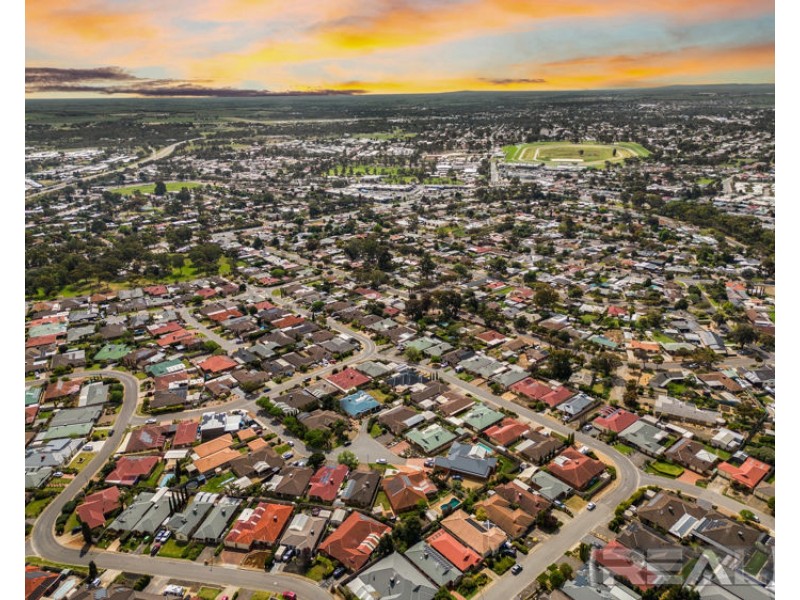 7 Springfield Court, Evanston Park SA 5116