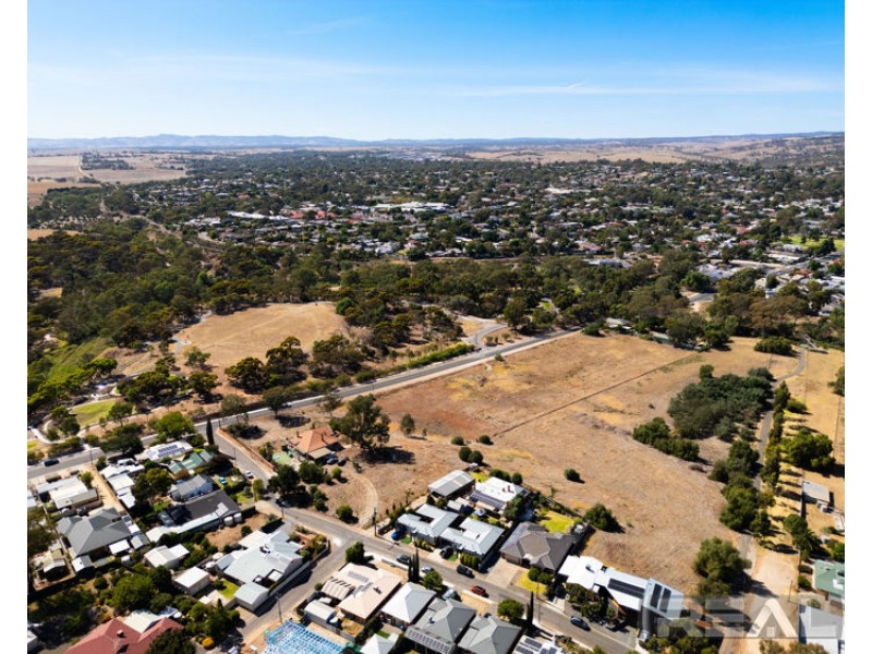 11 Barber Street, Willaston SA 5118