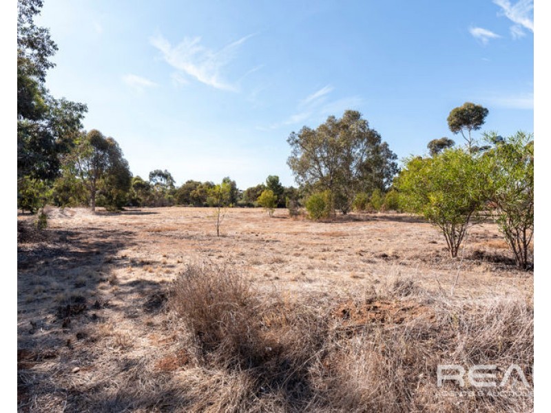 12 Ward Belt Road, Gawler Belt SA 5118