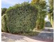 5 Porter Terrace, Rostrevor SA 5073