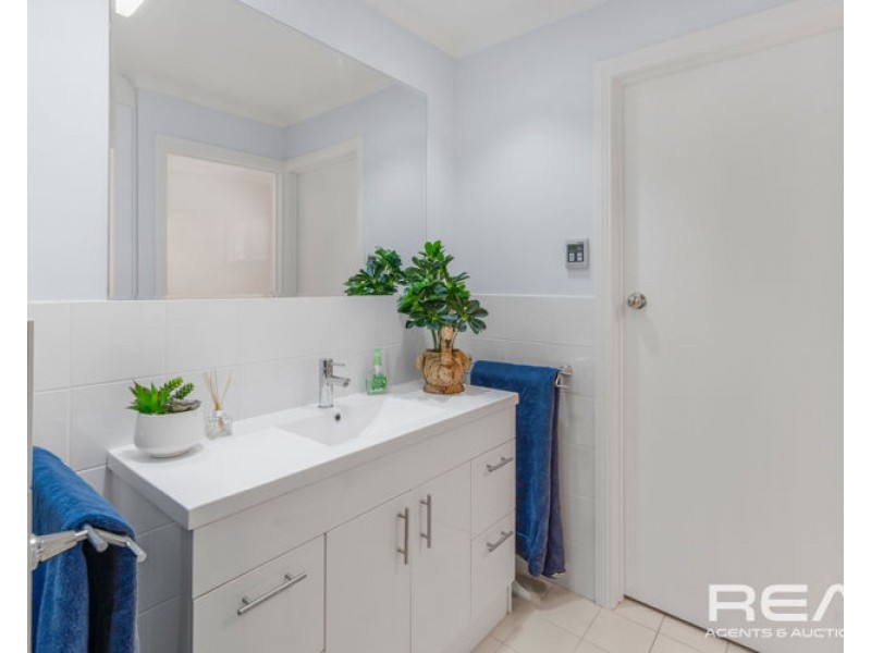 65 Borrow Street, Freeling SA 5372