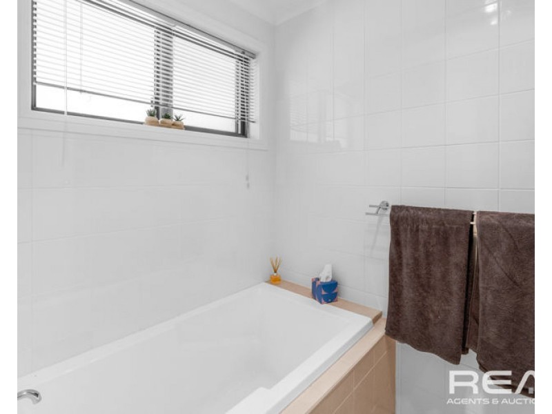 65 Borrow Street, Freeling SA 5372