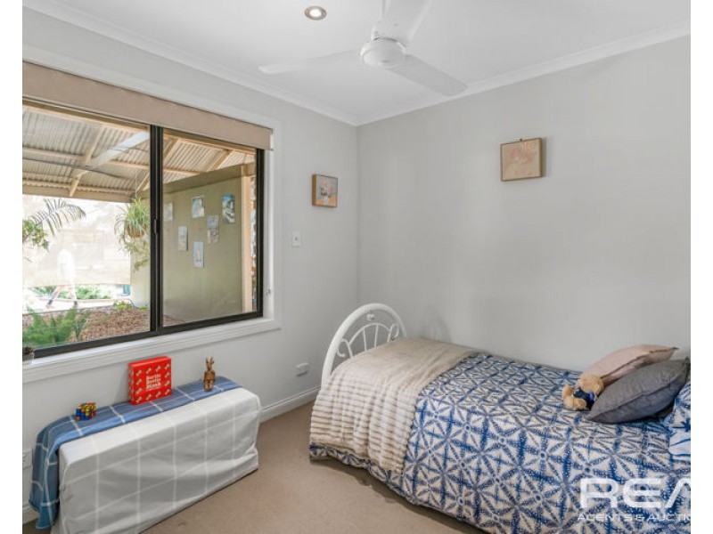 65 Borrow Street, Freeling SA 5372