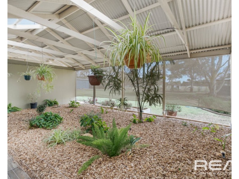 65 Borrow Street, Freeling SA 5372