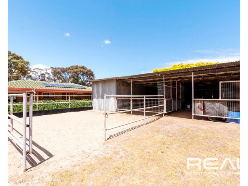 32 Alabar Crescent, Globe Derby Park SA 5110