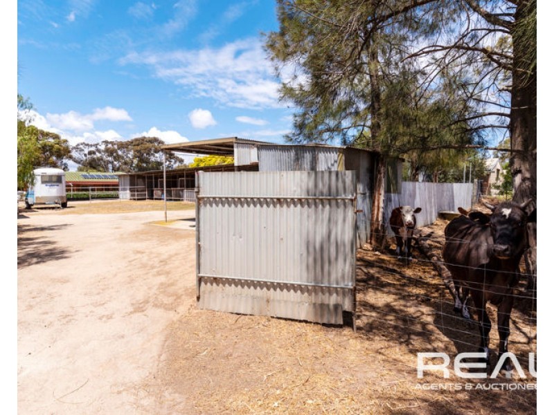 32 Alabar Crescent, Globe Derby Park SA 5110