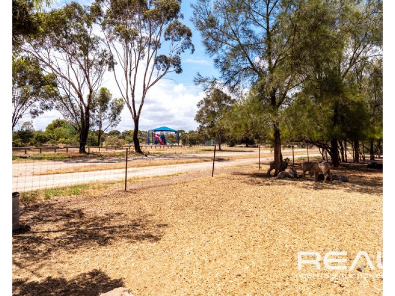 32 Alabar Crescent, Globe Derby Park SA 5110