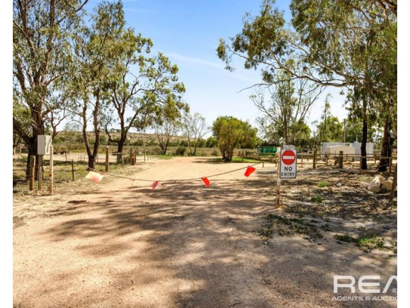 16 Cod Court, Wongulla SA 5238