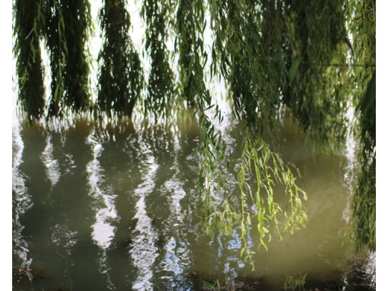 16 Cod Court, Wongulla SA 5238