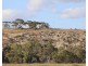 16 Cod Court, Wongulla SA 5238