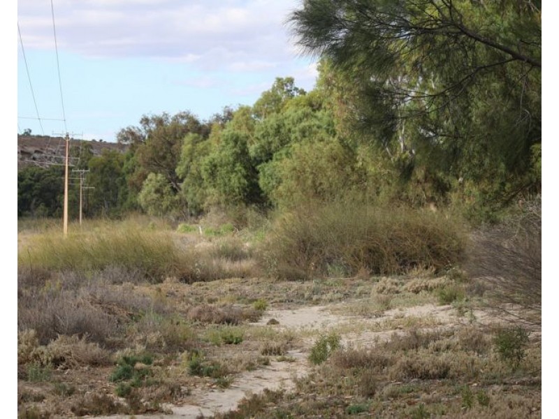 16 Cod Court, Wongulla SA 5238